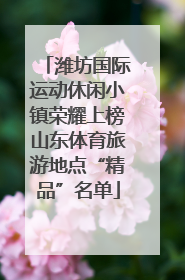 潍坊国际运动休闲小镇荣耀上榜山东体育旅游地点“精品”名单