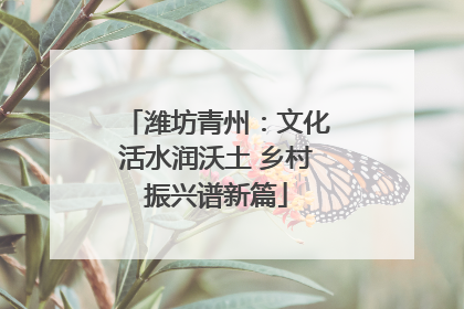 潍坊青州：文化活水润沃土 乡村振兴谱新篇