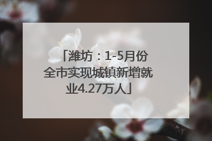 潍坊：1-5月份全市实现城镇新增就业4.27万人