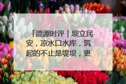澧源时评｜坝立民安，凉水口水库，筑起的不止是堤坝，更是民心长城
