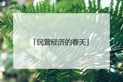 民营经济的春天