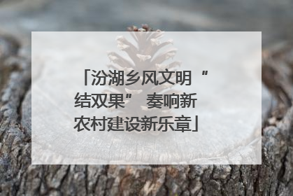 汾湖乡风文明“结双果” 奏响新农村建设新乐章