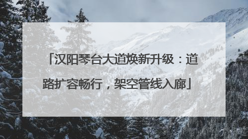 汉阳琴台大道焕新升级：道路扩容畅行，架空管线入廊