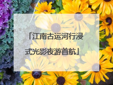 江南古运河行浸式光影夜游首航
