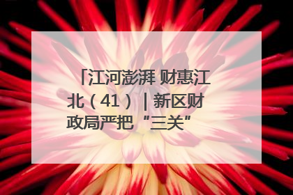 江河澎湃 财惠江北（41）｜新区财政局严把“三关” 绘就“良田美景”