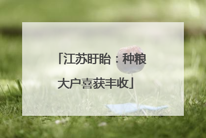 江苏盱眙：种粮大户喜获丰收