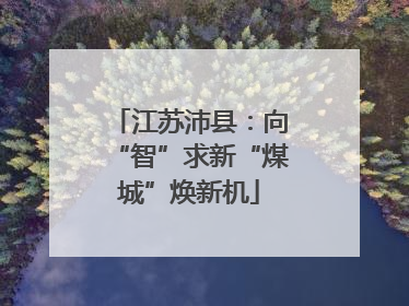 江苏沛县：向“智”求新“煤城”焕新机