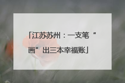 江苏苏州：一支笔“画”出三本幸福账