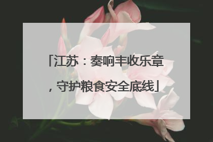 江苏：奏响丰收乐章，守护粮食安全底线