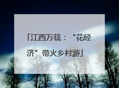 江西万载：“花经济”带火乡村游