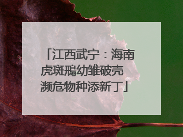 江西武宁：海南虎斑鳽幼雏破壳 濒危物种添新丁