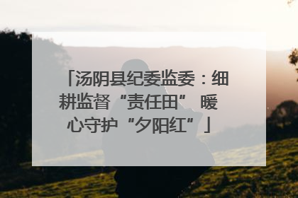 汤阴县纪委监委：细耕监督“责任田” 暖心守护“夕阳红”