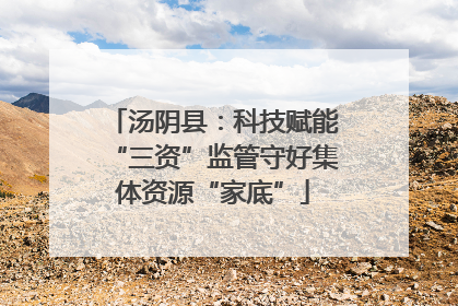 汤阴县：科技赋能“三资”监管守好集体资源“家底”