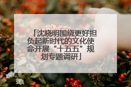 沈晓明围绕更好担负起新时代的文化使命开展“十五五”规划专题调研