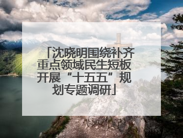 沈晓明围绕补齐重点领域民生短板开展“十五五”规划专题调研