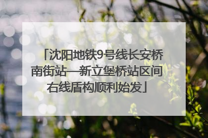 沈阳地铁9号线长安桥南街站—新立堡桥站区间右线盾构顺利始发