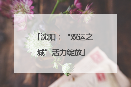沈阳：“双运之城”活力绽放