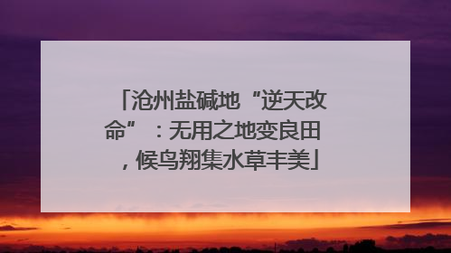 沧州盐碱地“逆天改命”：无用之地变良田，候鸟翔集水草丰美