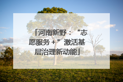 河南新野：“志愿服务＋”激活基层治理新动能