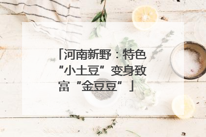 河南新野：特色“小土豆”变身致富“金豆豆”