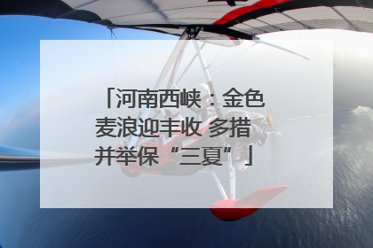 河南西峡：金色麦浪迎丰收 多措并举保“三夏”