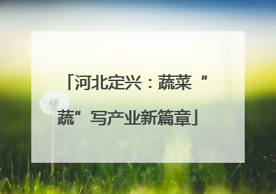 河北定兴：蔬菜“蔬”写产业新篇章