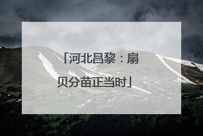 河北昌黎：扇贝分苗正当时