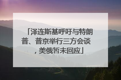 泽连斯基呼吁与特朗普、普京举行三方会谈，美俄暂未回应