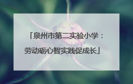 泉州市第二实验小学：劳动砺心智实践促成长