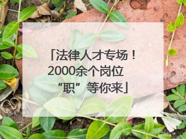 法律人才专场！2000余个岗位“职”等你来