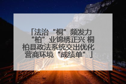法治“桐”频发力 “柏”业锦绣正兴 桐柏县政法系统交出优化营商环境“成绩单”
