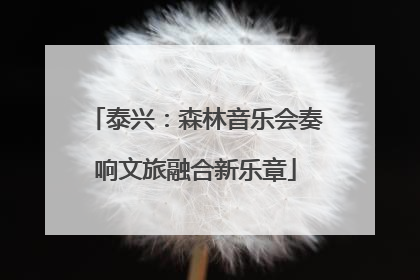 泰兴：森林音乐会奏响文旅融合新乐章
