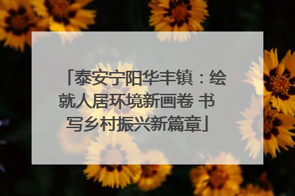泰安宁阳华丰镇：绘就人居环境新画卷 书写乡村振兴新篇章