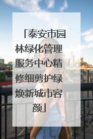 泰安市园林绿化管理服务中心精修细剪护绿焕新城市容颜