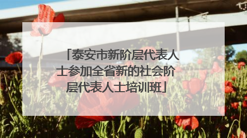 泰安市新阶层代表人士参加全省新的社会阶层代表人士培训班