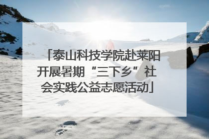 泰山科技学院赴莱阳开展暑期“三下乡”社会实践公益志愿活动