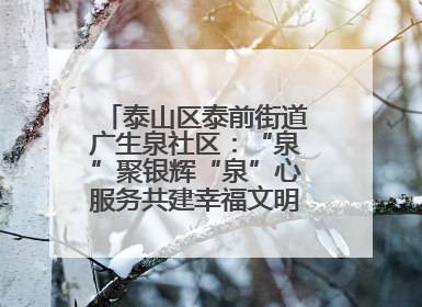 泰山区泰前街道广生泉社区：“泉”聚银辉“泉”心服务共建幸福文明和谐家园