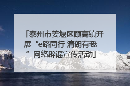 泰州市姜堰区顾高镇开展“e路同行 清朗有我”网络辟谣宣传活动