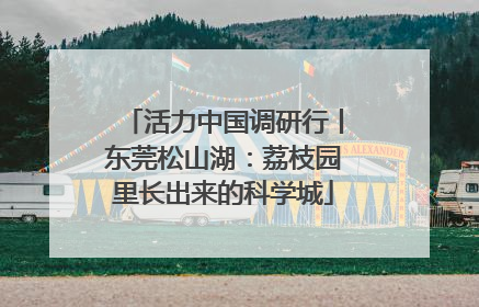活力中国调研行丨东莞松山湖：荔枝园里长出来的科学城