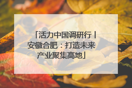 活力中国调研行丨安徽合肥：打造未来产业聚集高地