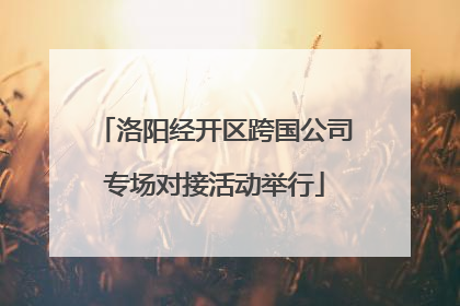 洛阳经开区跨国公司专场对接活动举行