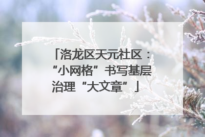 洛龙区天元社区：“小网格”书写基层治理“大文章”
