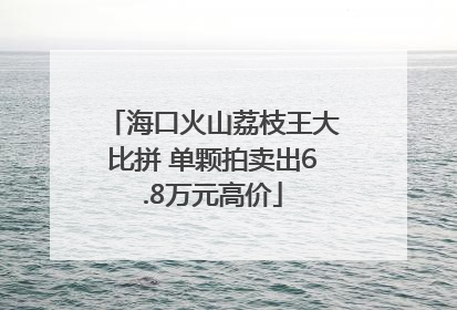 海口火山荔枝王大比拼 单颗拍卖出6.8万元高价