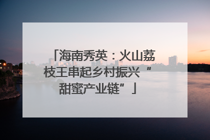 海南秀英：火山荔枝王串起乡村振兴“甜蜜产业链”
