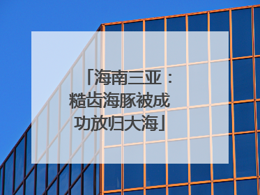 海南三亚：糙齿海豚被成功放归大海