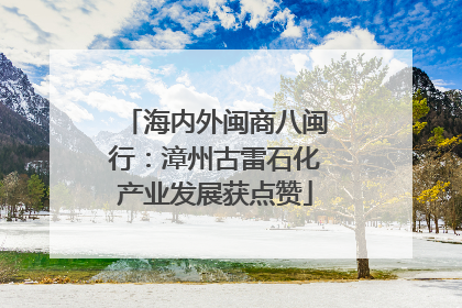 海内外闽商八闽行：漳州古雷石化产业发展获点赞