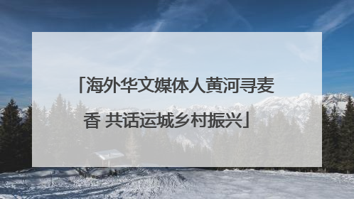 海外华文媒体人黄河寻麦香 共话运城乡村振兴