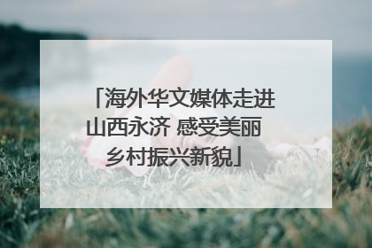 海外华文媒体走进山西永济 感受美丽乡村振兴新貌