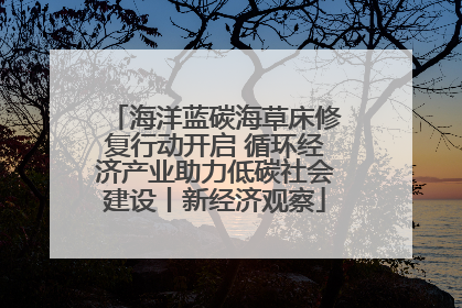 海洋蓝碳海草床修复行动开启 循环经济产业助力低碳社会建设丨新经济观察
