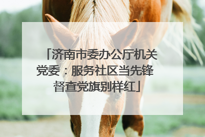 济南市委办公厅机关党委：服务社区当先锋 督查党旗别样红